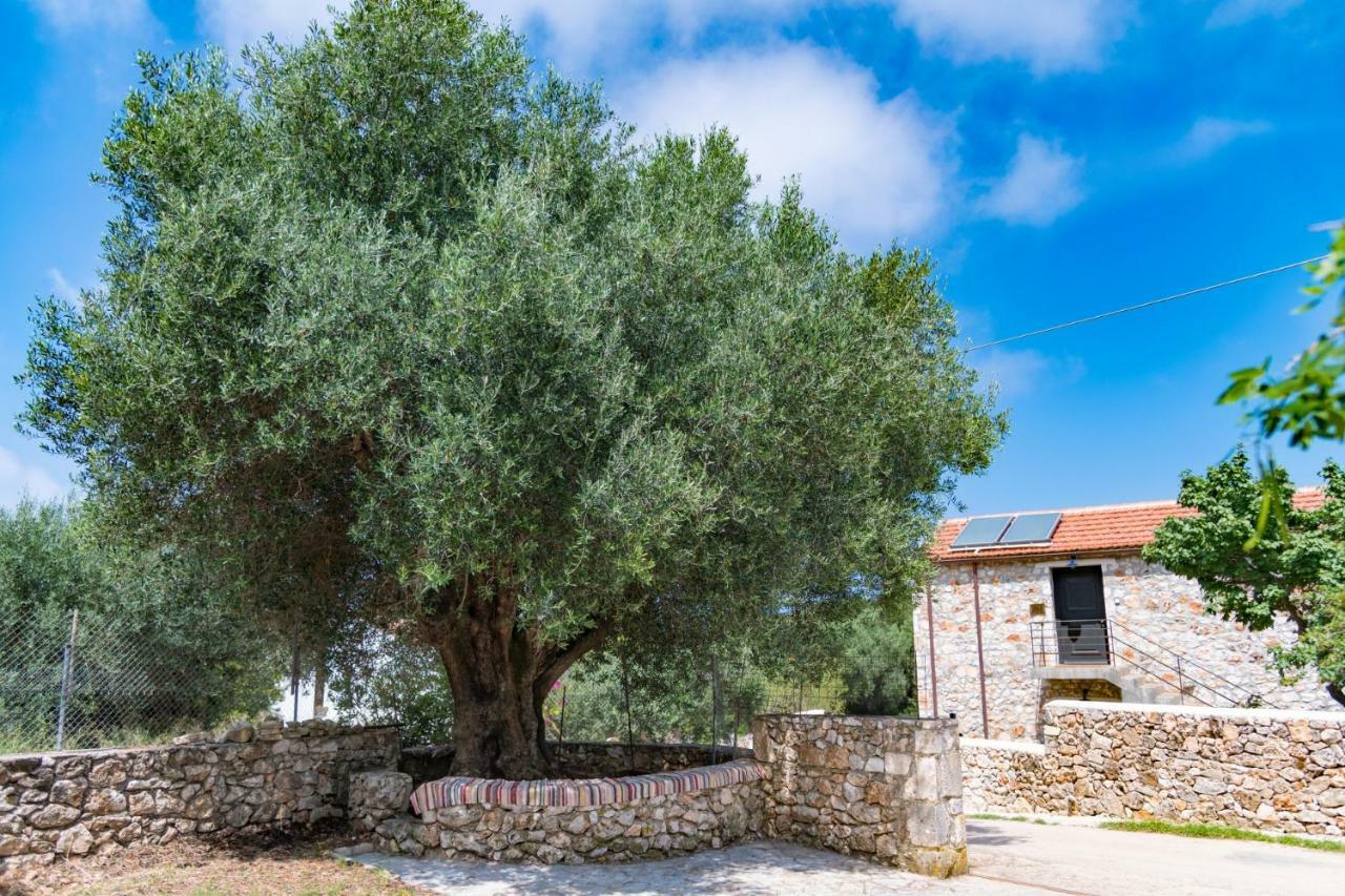 Private Villa Demetra 1768 With Pool - Close To Fiskardo Luaran gambar